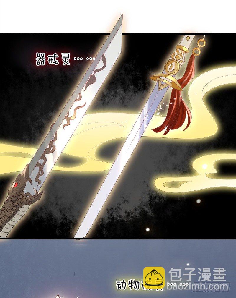《绝世神医腹黑大小姐》第2话 你带我回家 第45页