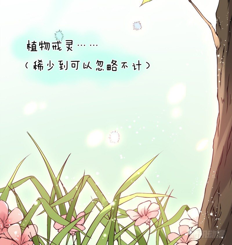 《绝世神医腹黑大小姐》第2话 你带我回家 第48页
