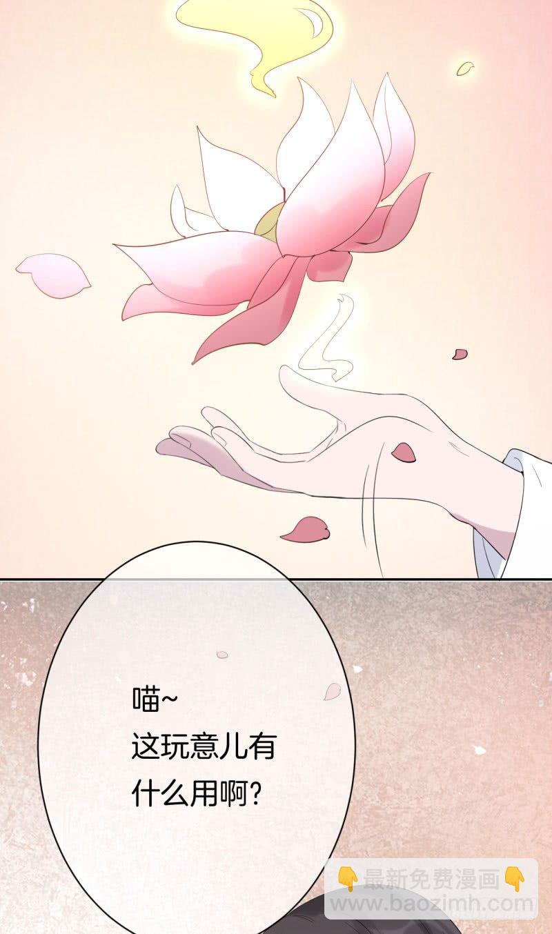 《绝世神医腹黑大小姐》第6话 一朵小白莲 第22页