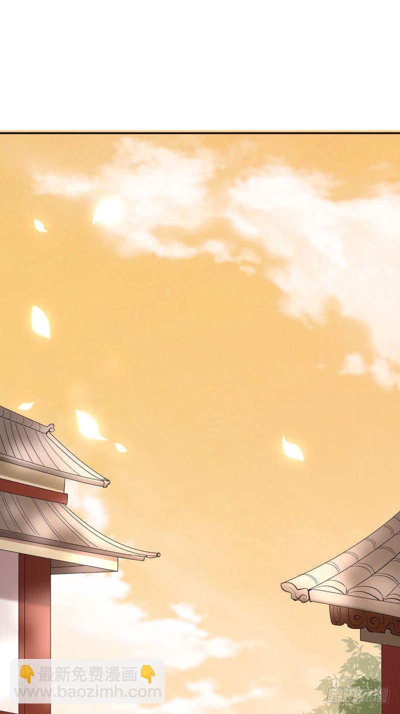《绝世神医腹黑大小姐》第6话 一朵小白莲 第46页