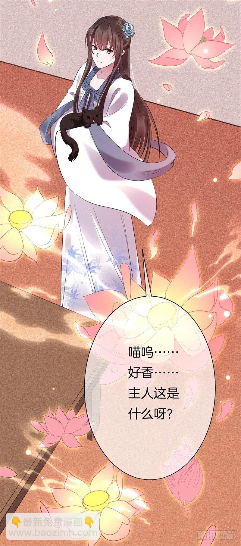《绝世神医腹黑大小姐》第5话 我要煺婚 第24页