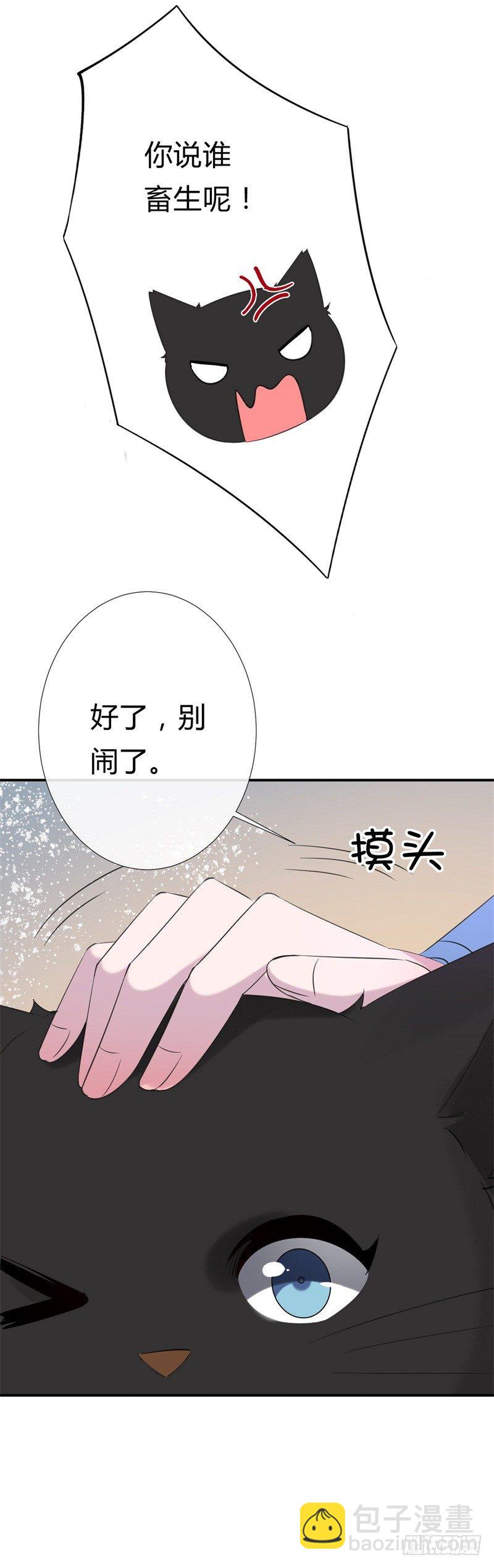 《绝世神医腹黑大小姐》第12话 种下一朵小白莲 第42页