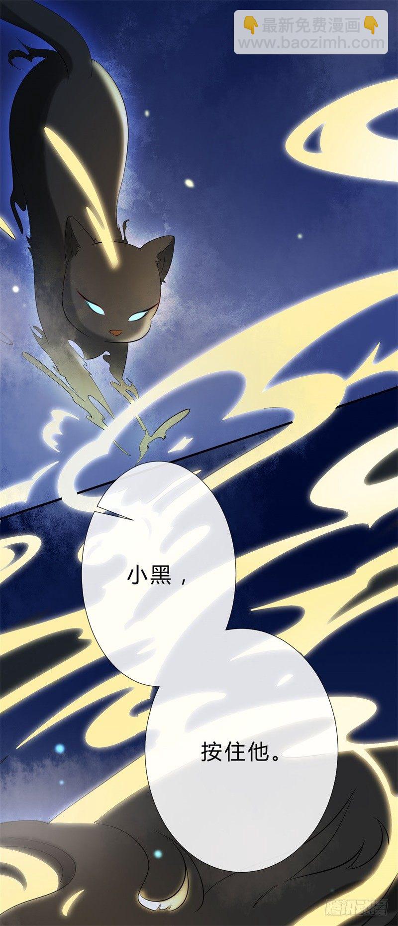 《绝世神医腹黑大小姐》第14话 小黑的变身来啦 第25页