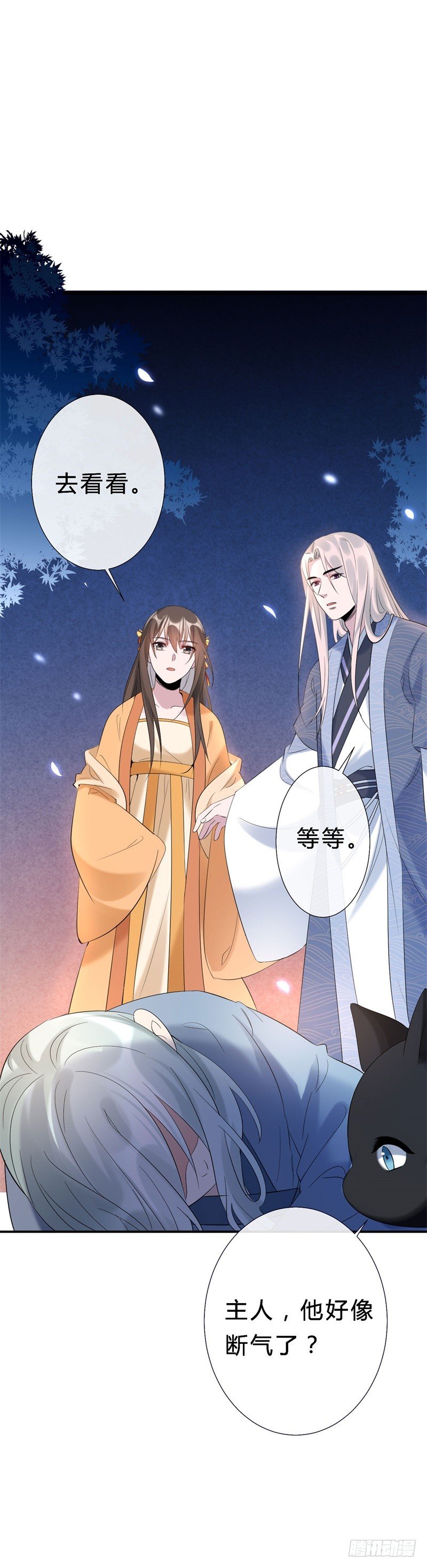 《绝世神医腹黑大小姐》第14话 小黑的变身来啦 第2页