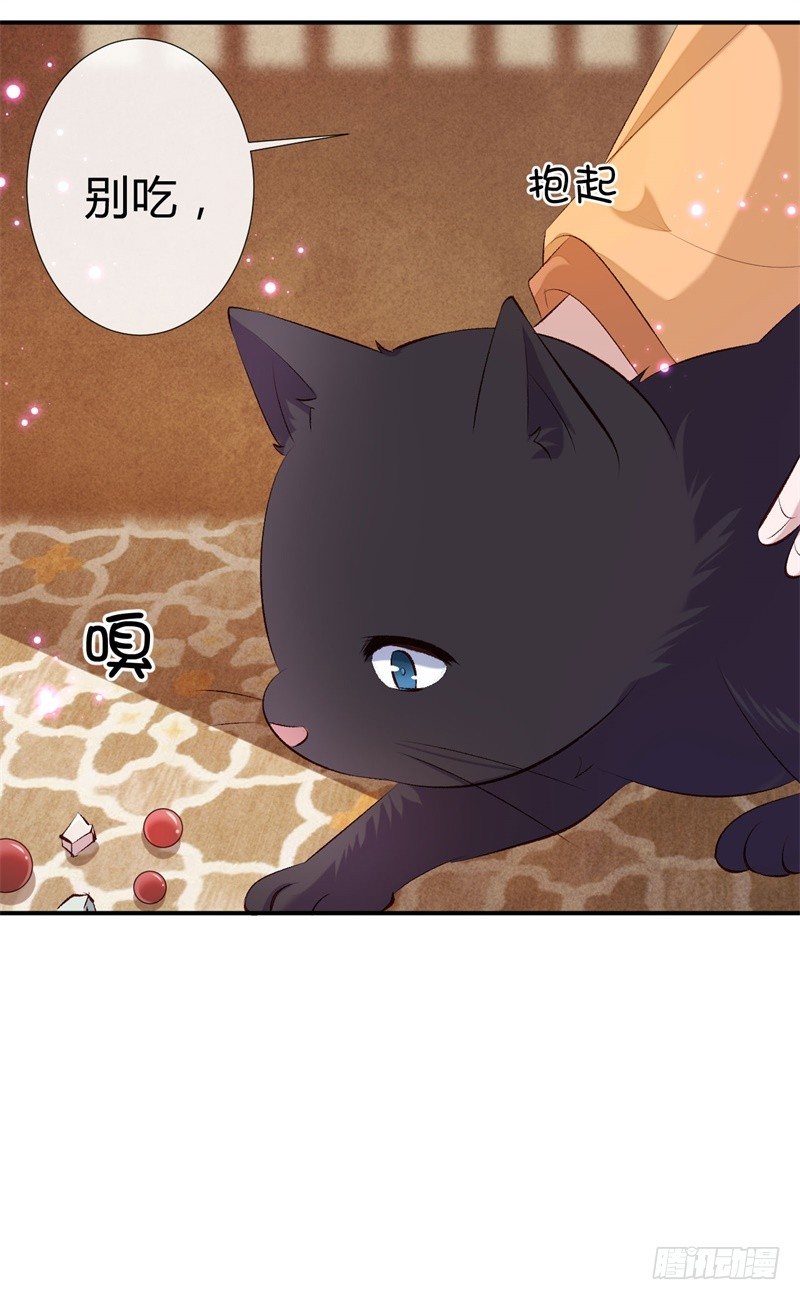 《绝世神医腹黑大小姐》第17话 君家我一定护住 第24页