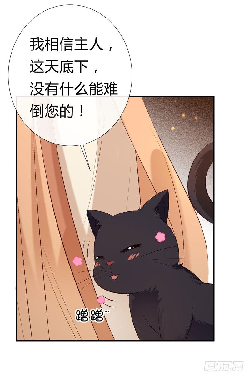 《绝世神医腹黑大小姐》第17话 君家我一定护住 第41页