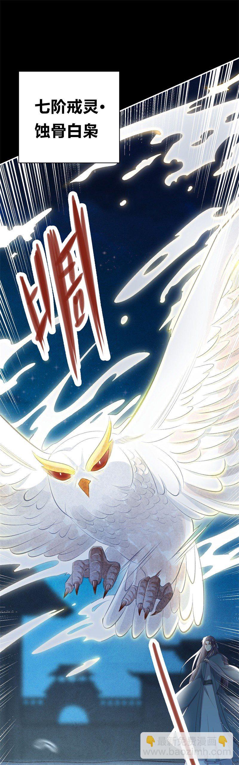 《绝世神医腹黑大小姐》第23话 七阶兽灵白枭 第24页