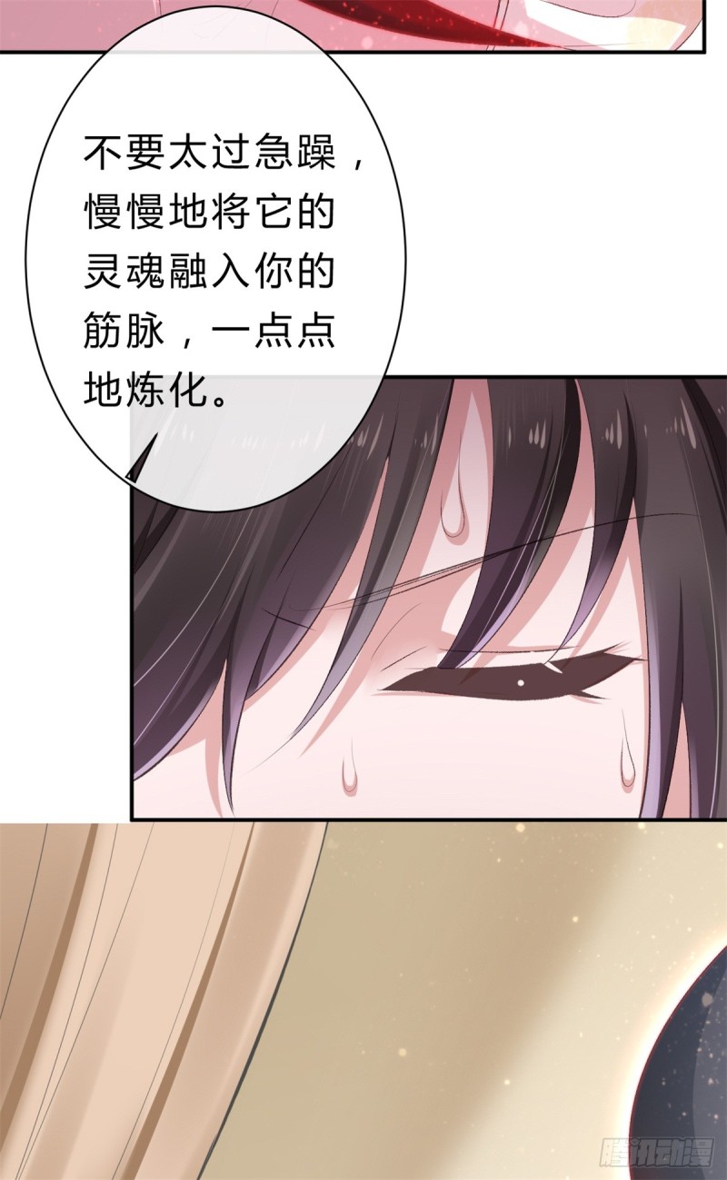《绝世神医腹黑大小姐》第44话 进阶在即 第38页