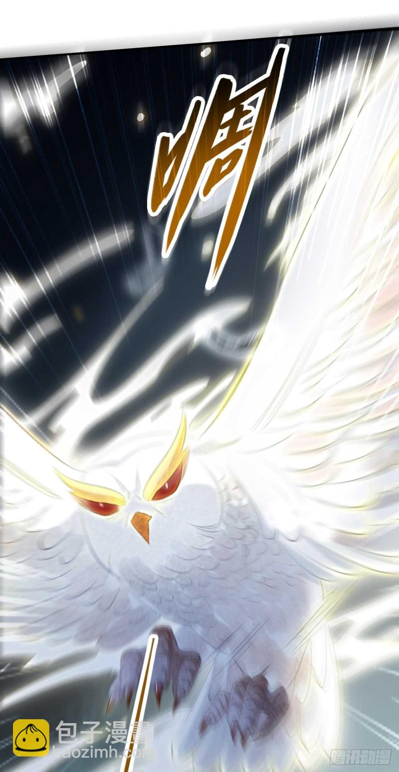 《绝世神医腹黑大小姐》第46话 打上门来又如何 第18页