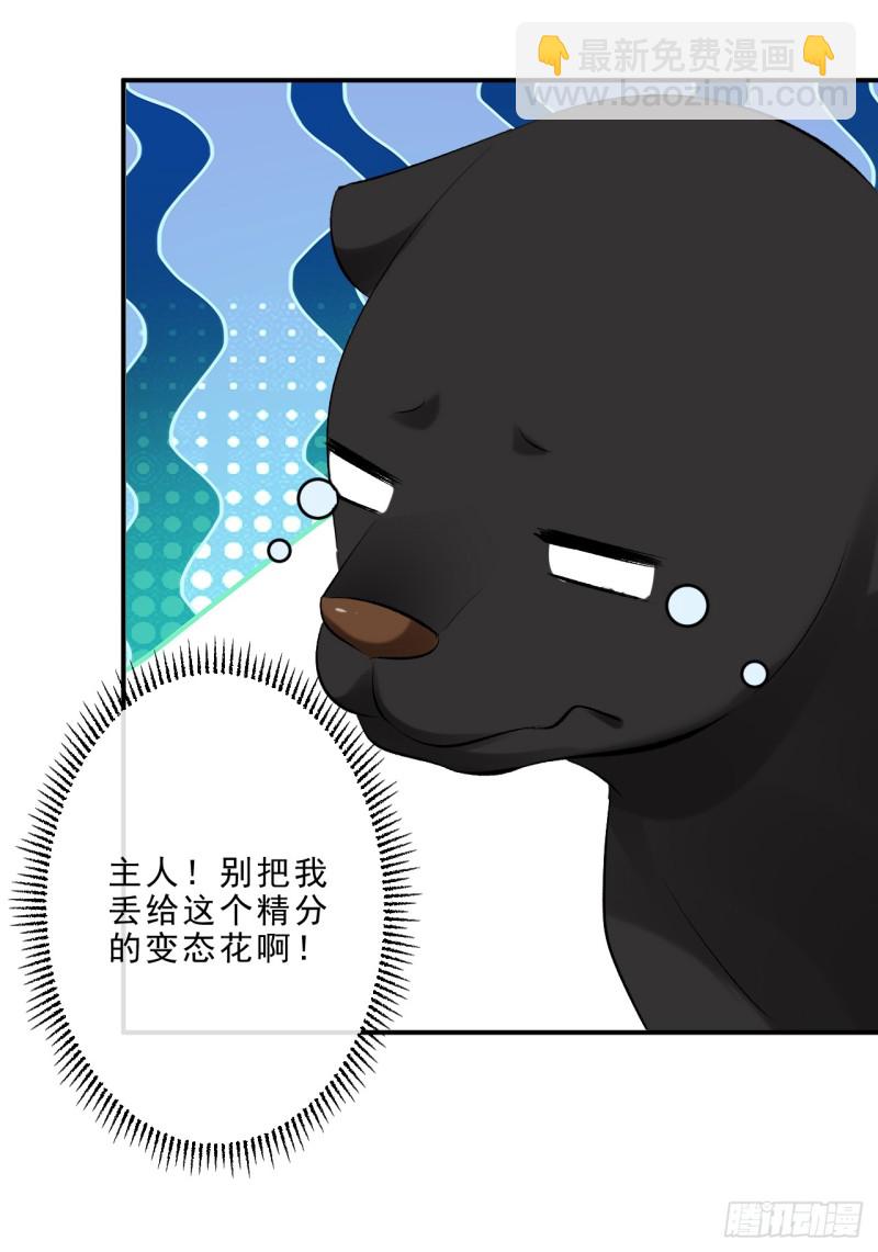 《绝世神医腹黑大小姐》第47话 我自己护得住 第49页