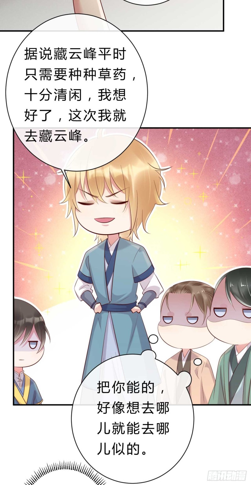 《绝世神医腹黑大小姐》第56话 危险的藏云峰 第12页
