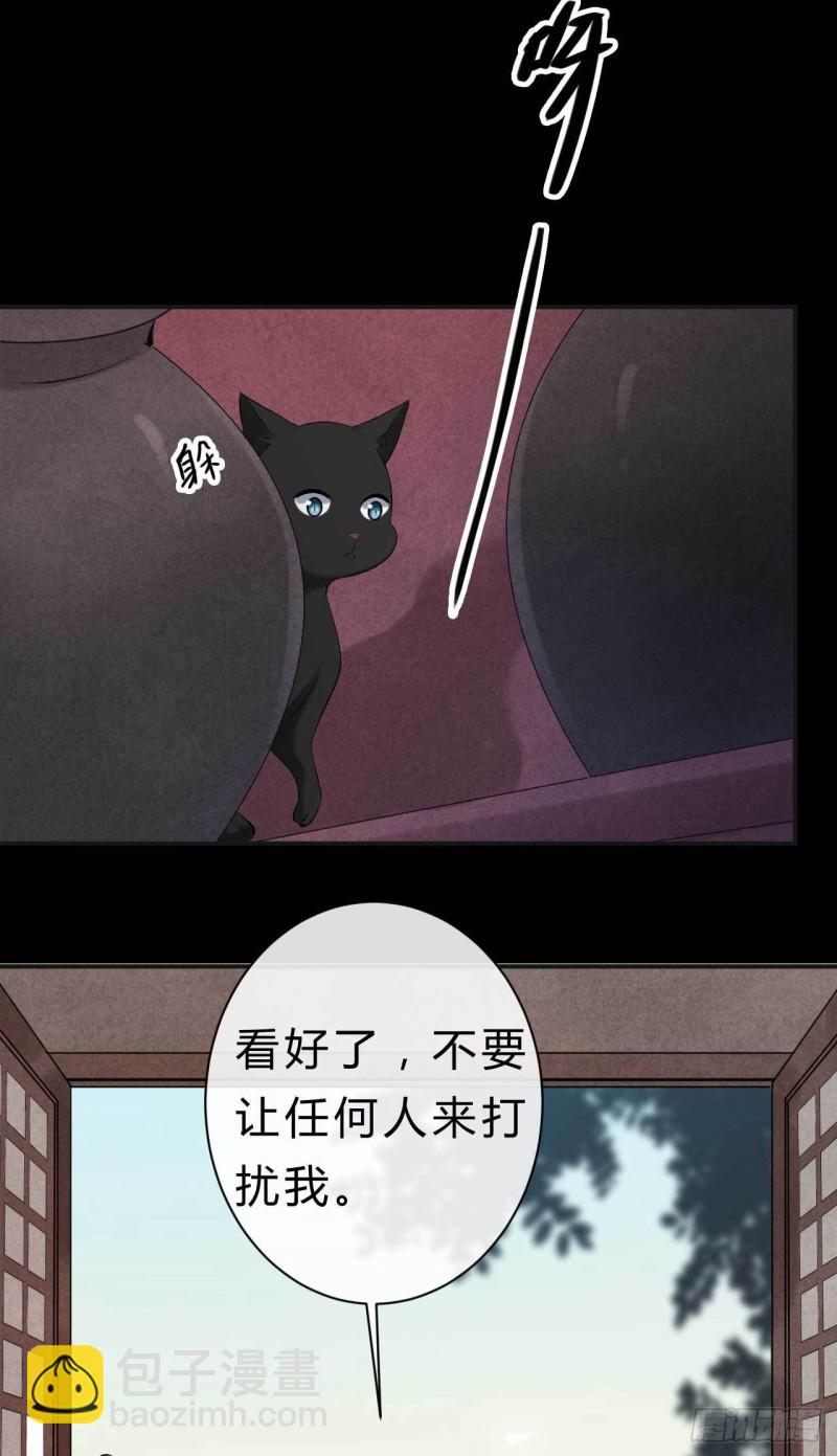 《绝世神医腹黑大小姐》第63话 偷天换日 第18页