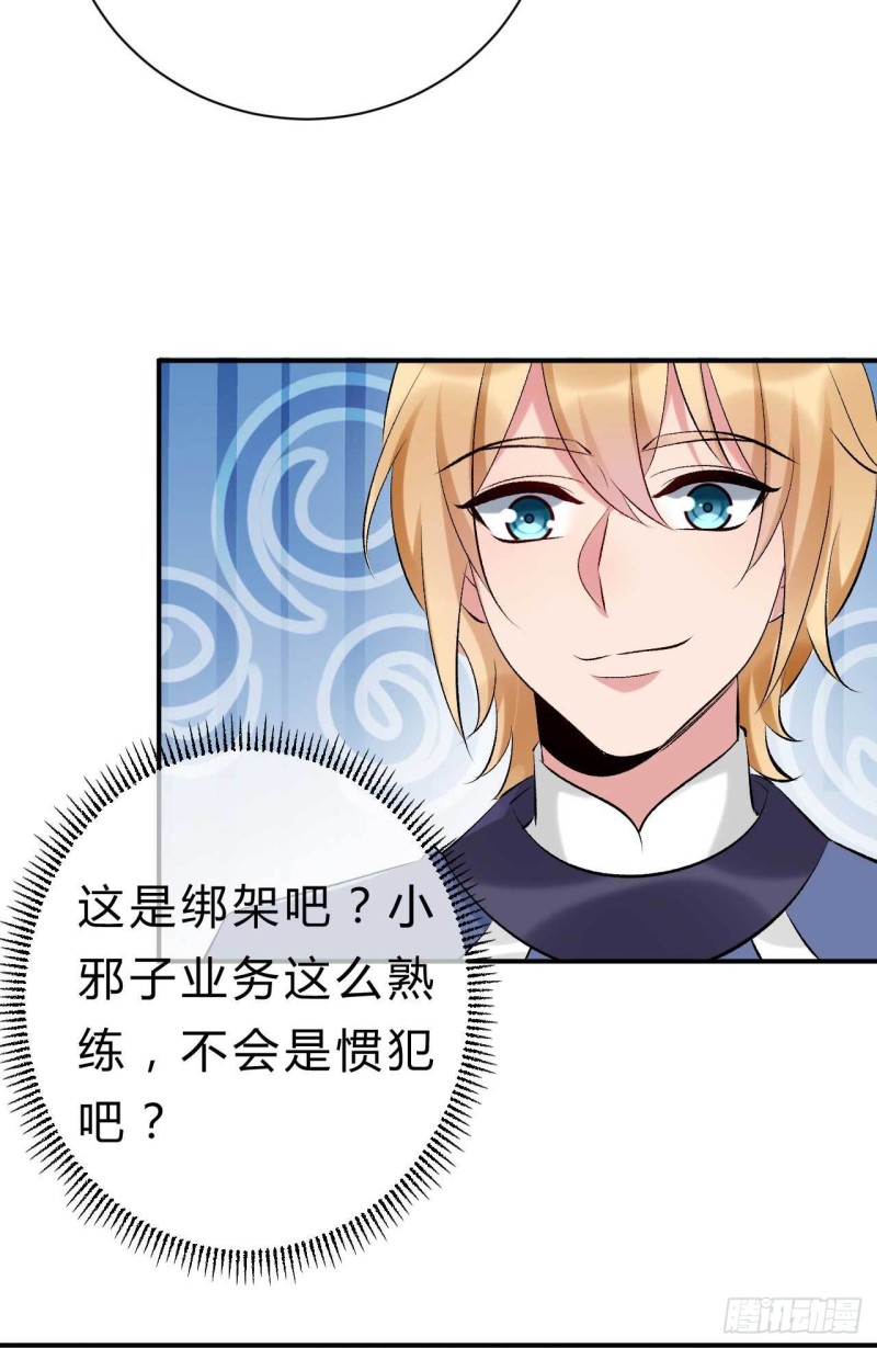 《绝世神医腹黑大小姐》第75话 小邪子是惯犯吧…… 第28页