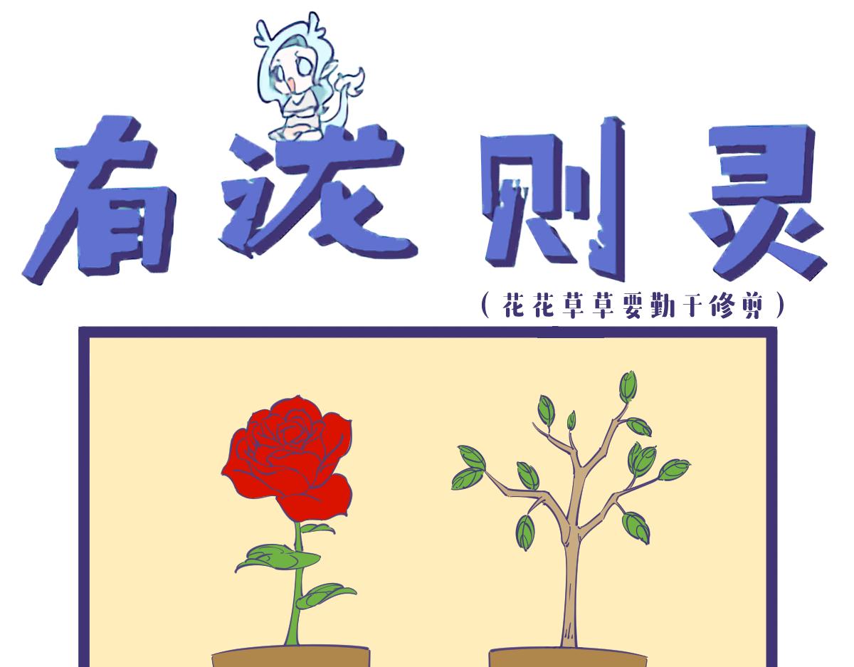 《有泷则灵》有了金坷垃，玫瑰亩产一千八 第1页
