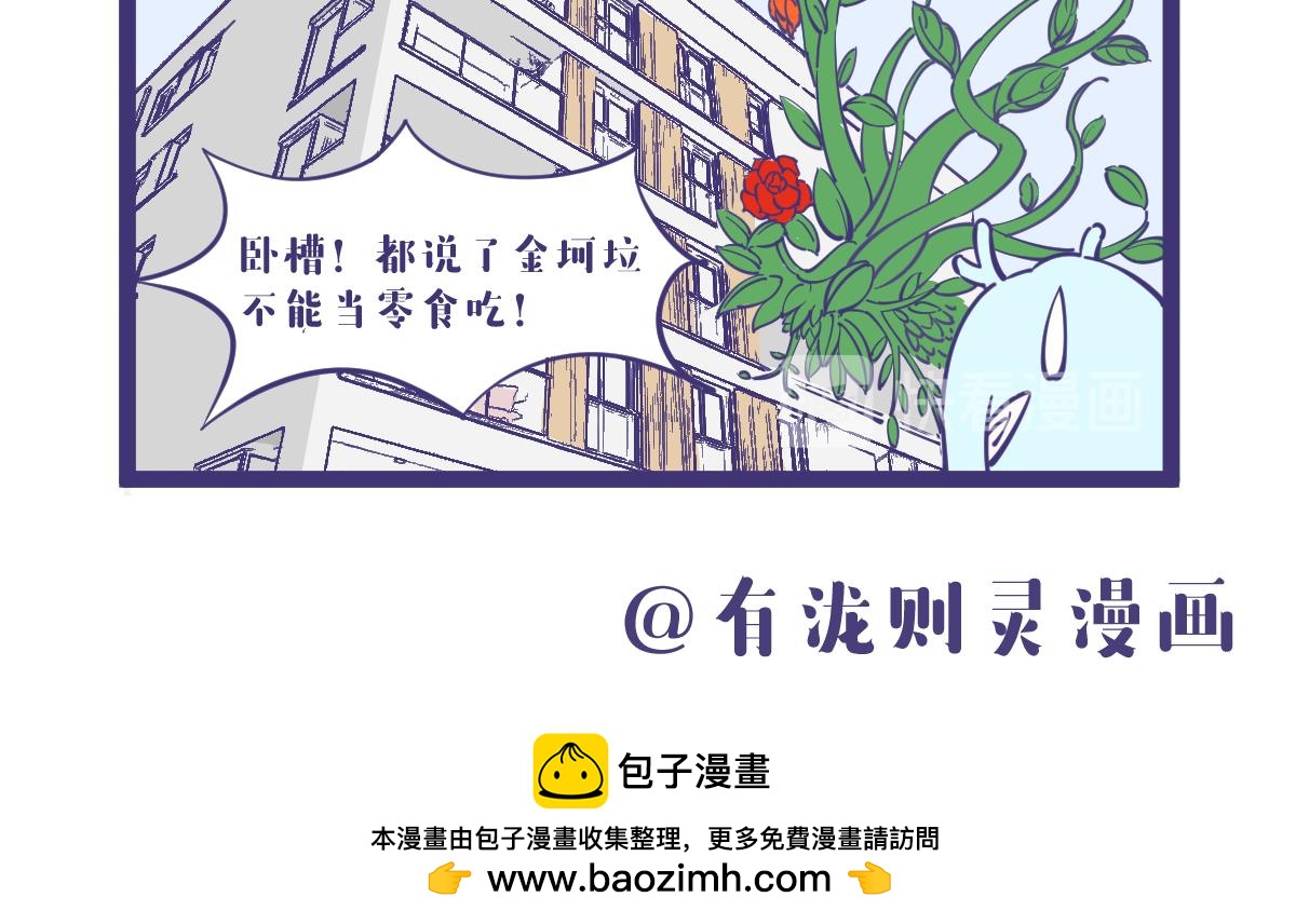 《有泷则灵》有了金坷垃，玫瑰亩产一千八 第8页