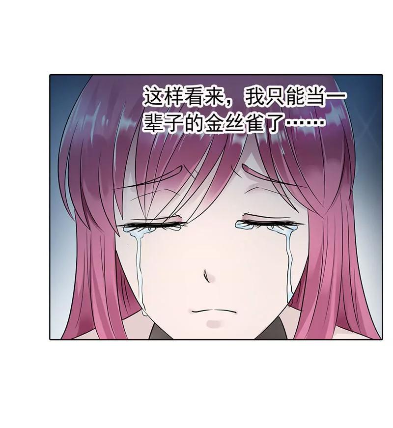 《总裁的药引》别忘了我们之间的契约 第8页