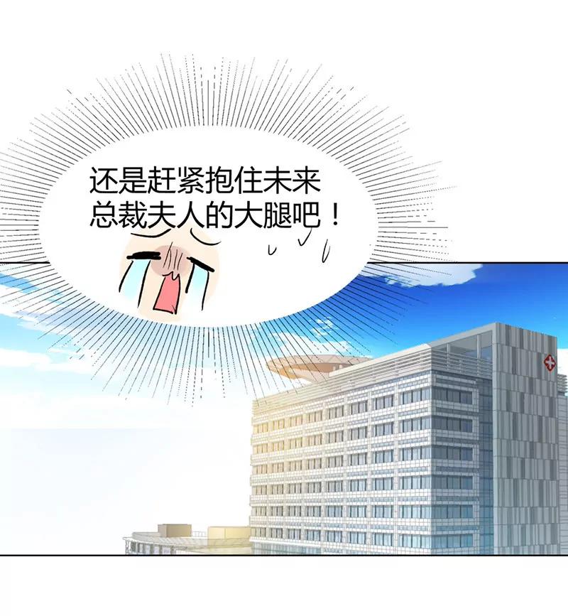 《总裁的药引》她是我的人 第9页