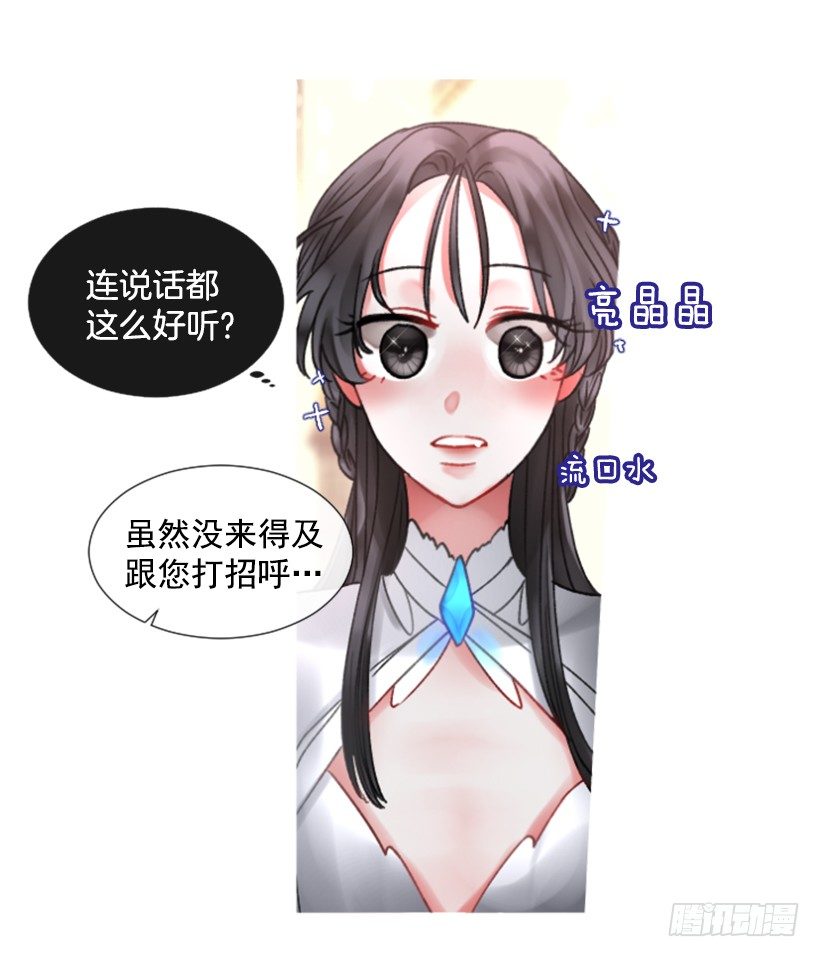《佣兵女王伊芙琳》3.耀眼的存在 第4页