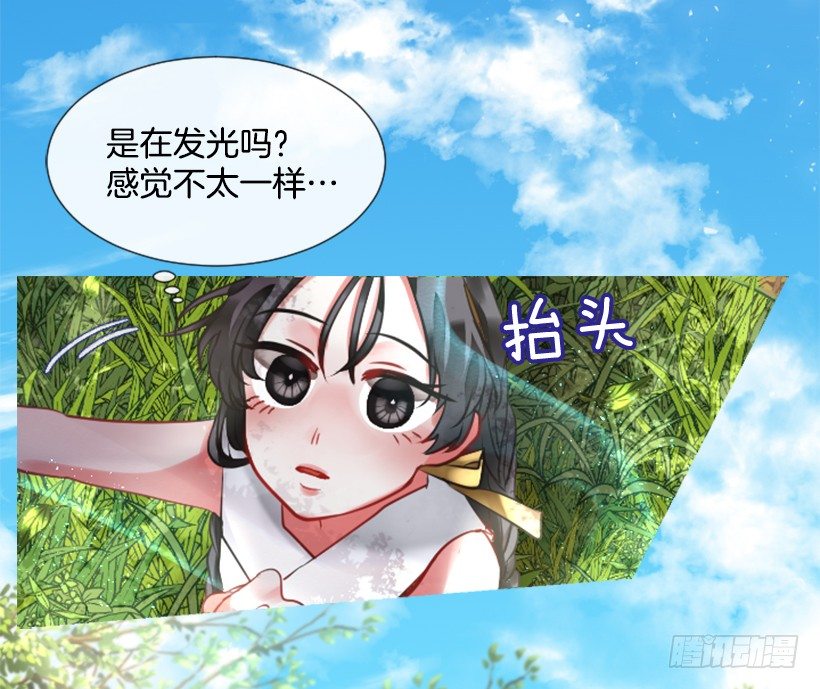 《佣兵女王伊芙琳》5.去冒险 第12页
