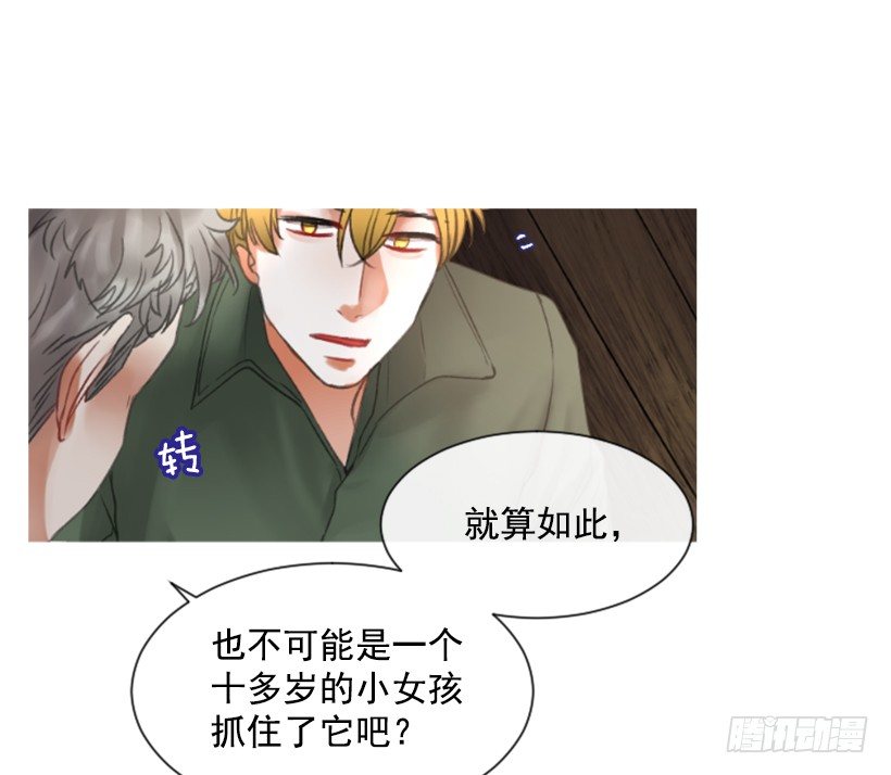 《佣兵女王伊芙琳》7.美少女佣兵团 第9页
