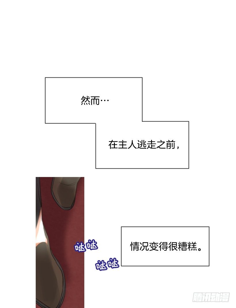 《佣兵女王伊芙琳》11.追随他 第48页