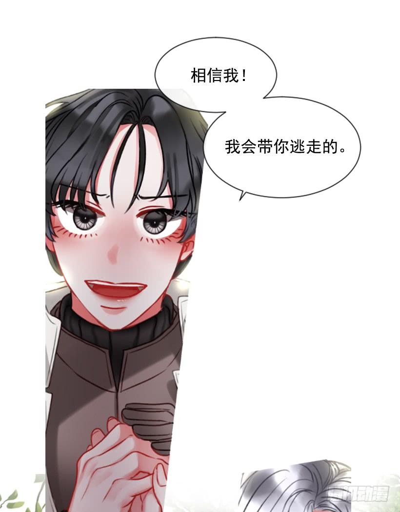 《佣兵女王伊芙琳》15.只是人偶 第19页