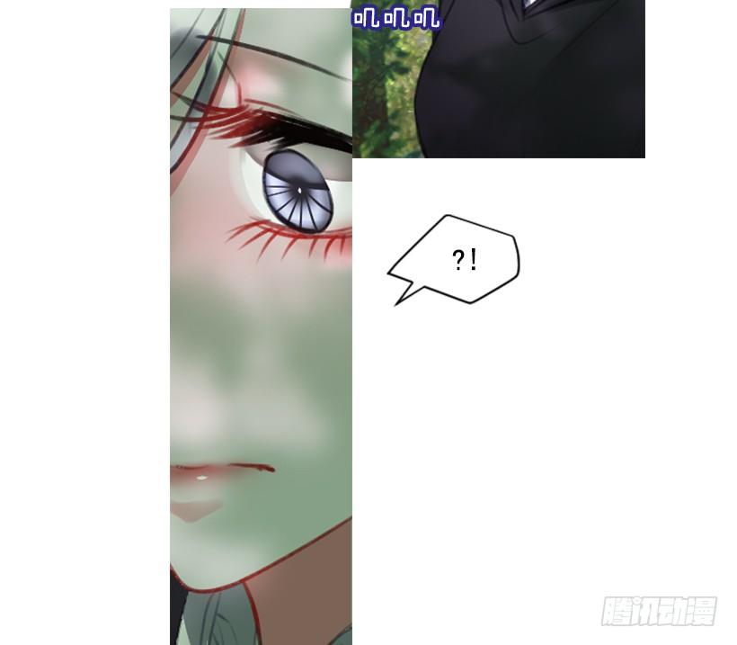 《佣兵女王伊芙琳》12.没有其他选择 第12页