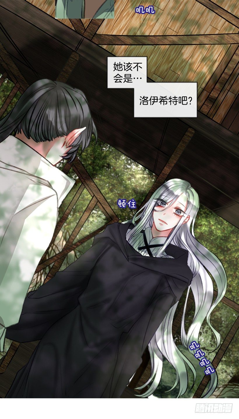 《佣兵女王伊芙琳》12.没有其他选择 第13页