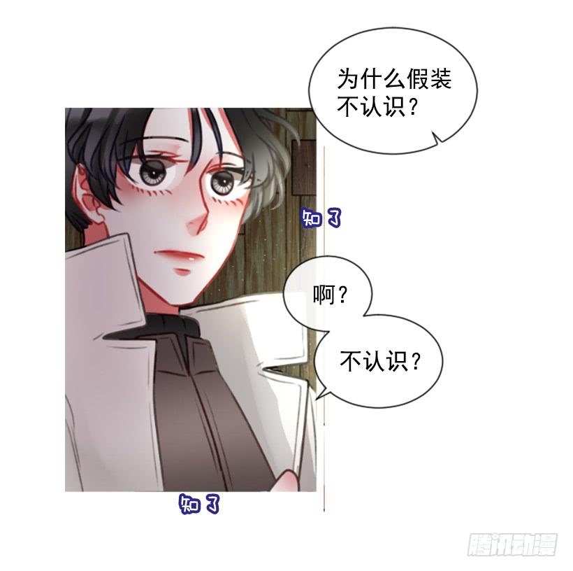 《佣兵女王伊芙琳》16.你好强 第34页