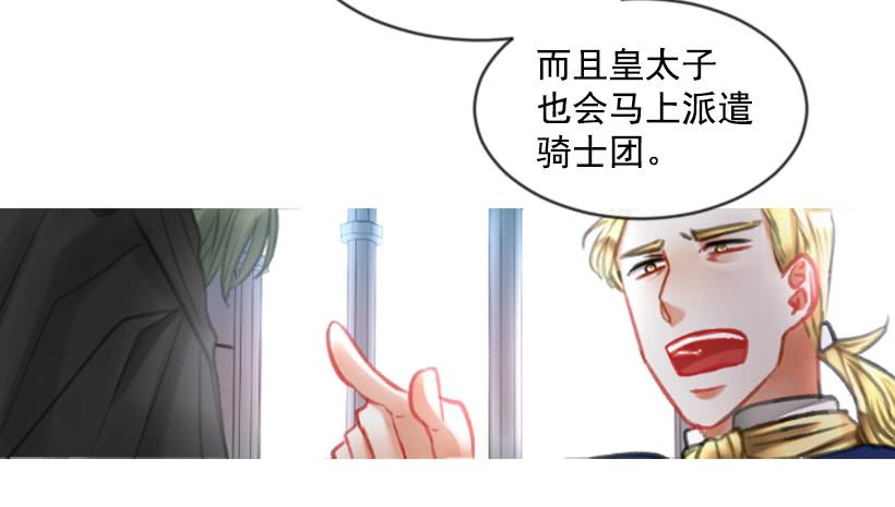 《佣兵女王伊芙琳》18.给主人送药 第46页