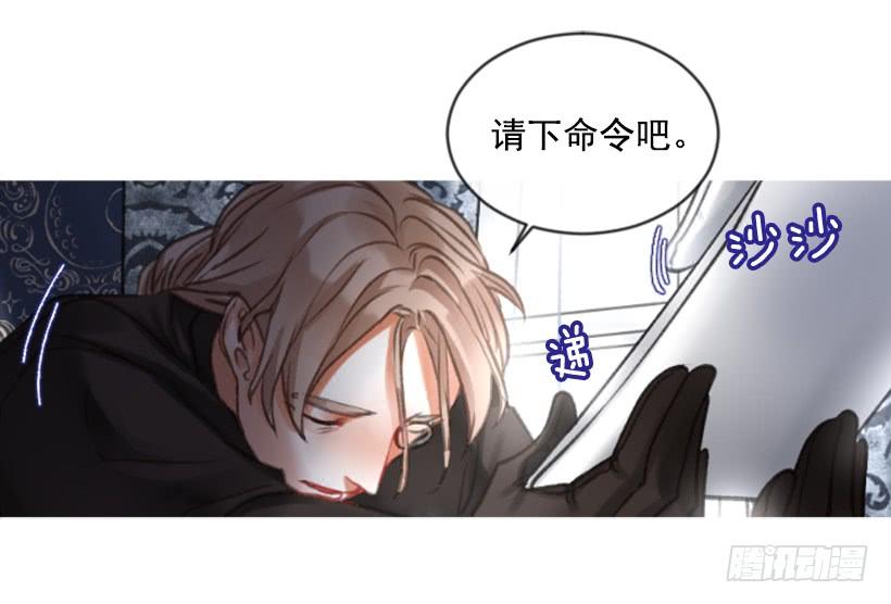 《佣兵女王伊芙琳》23.像一个王者 第26页
