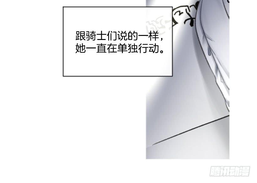 《佣兵女王伊芙琳》23.像一个王者 第29页