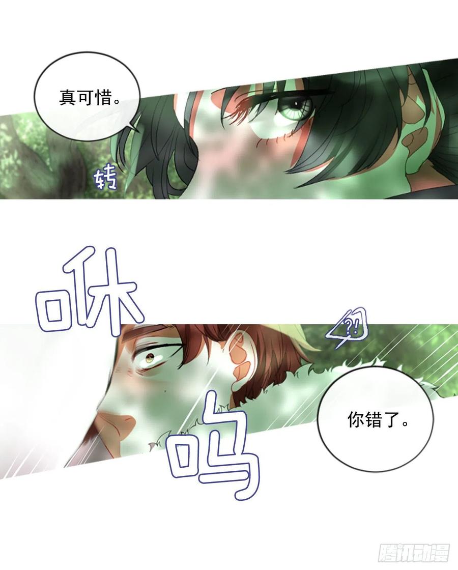 《佣兵女王伊芙琳》58.毫无征兆的离别 第13页
