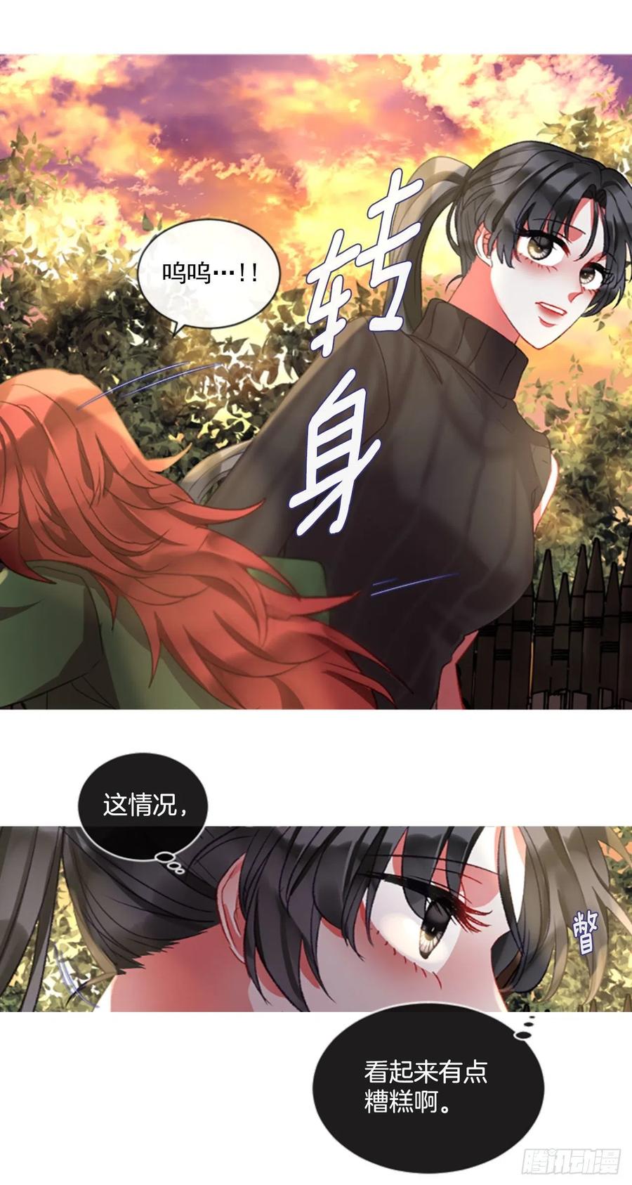 《佣兵女王伊芙琳》66.真相背后 第8页