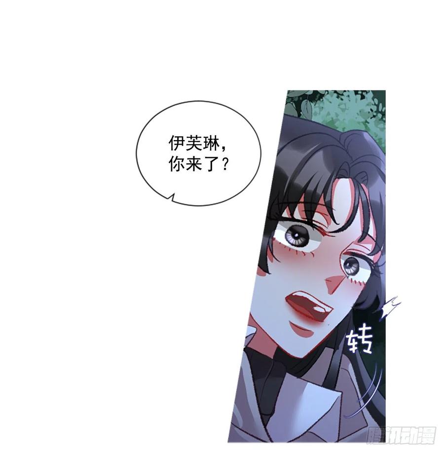《佣兵女王伊芙琳》73.欢迎来到伊里斯 第29页