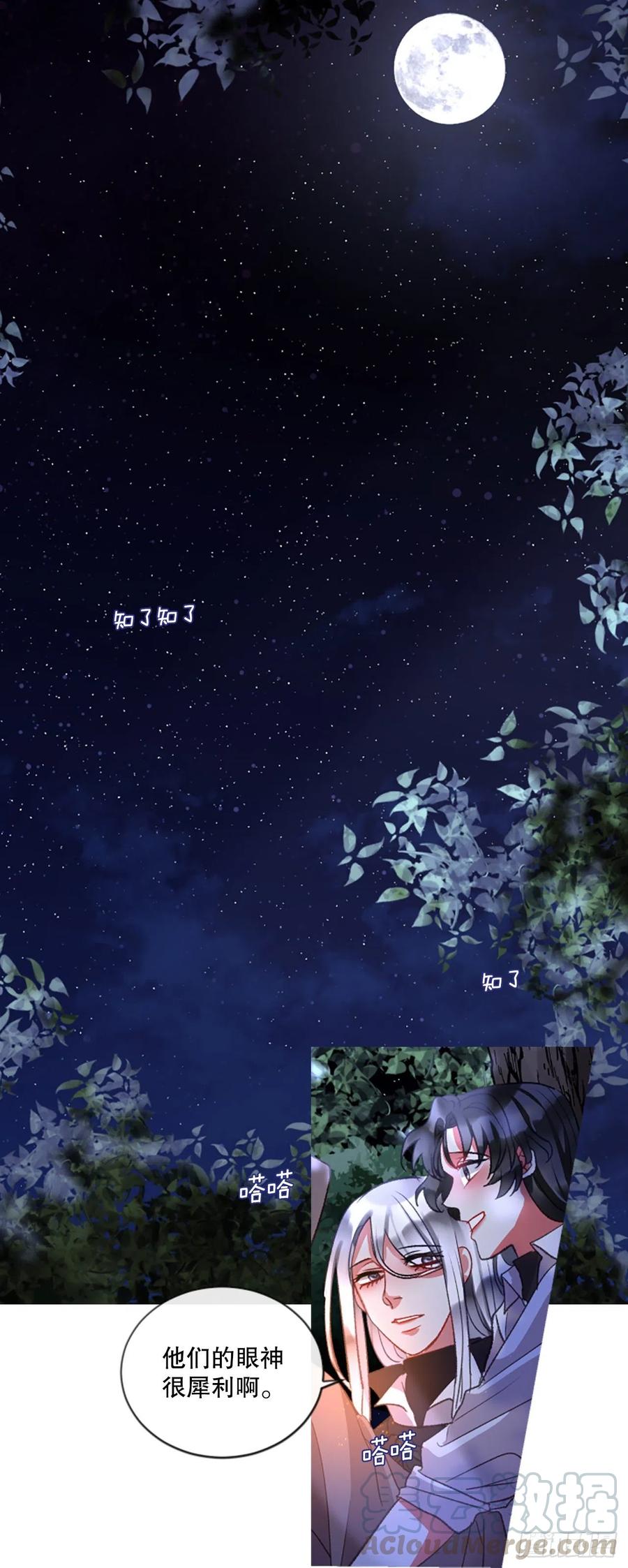 《佣兵女王伊芙琳》81.宁静的夜晚 第13页