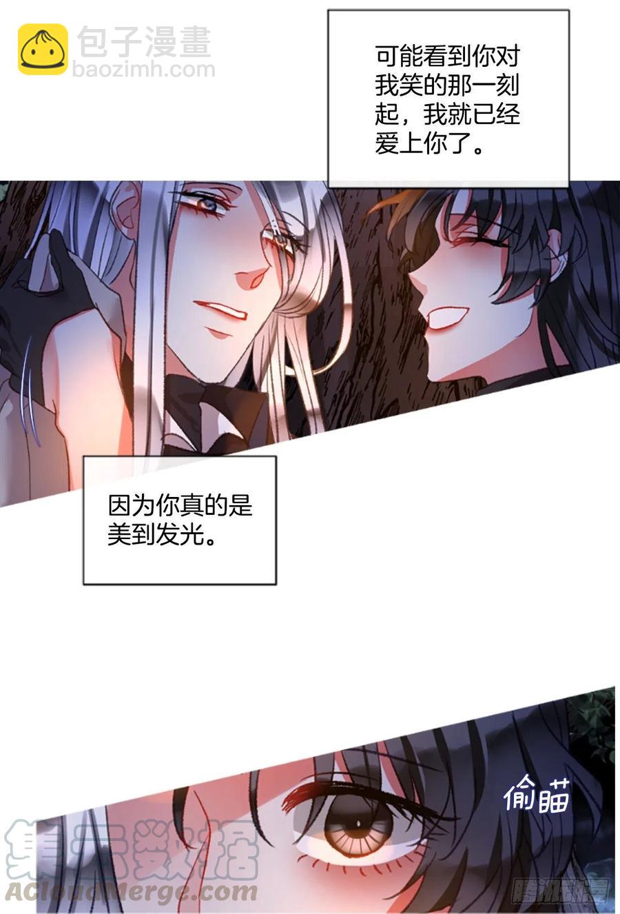 《佣兵女王伊芙琳》81.宁静的夜晚 第33页