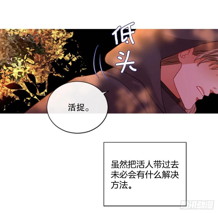 《佣兵女王伊芙琳》82.白鹰伊里斯 第14页