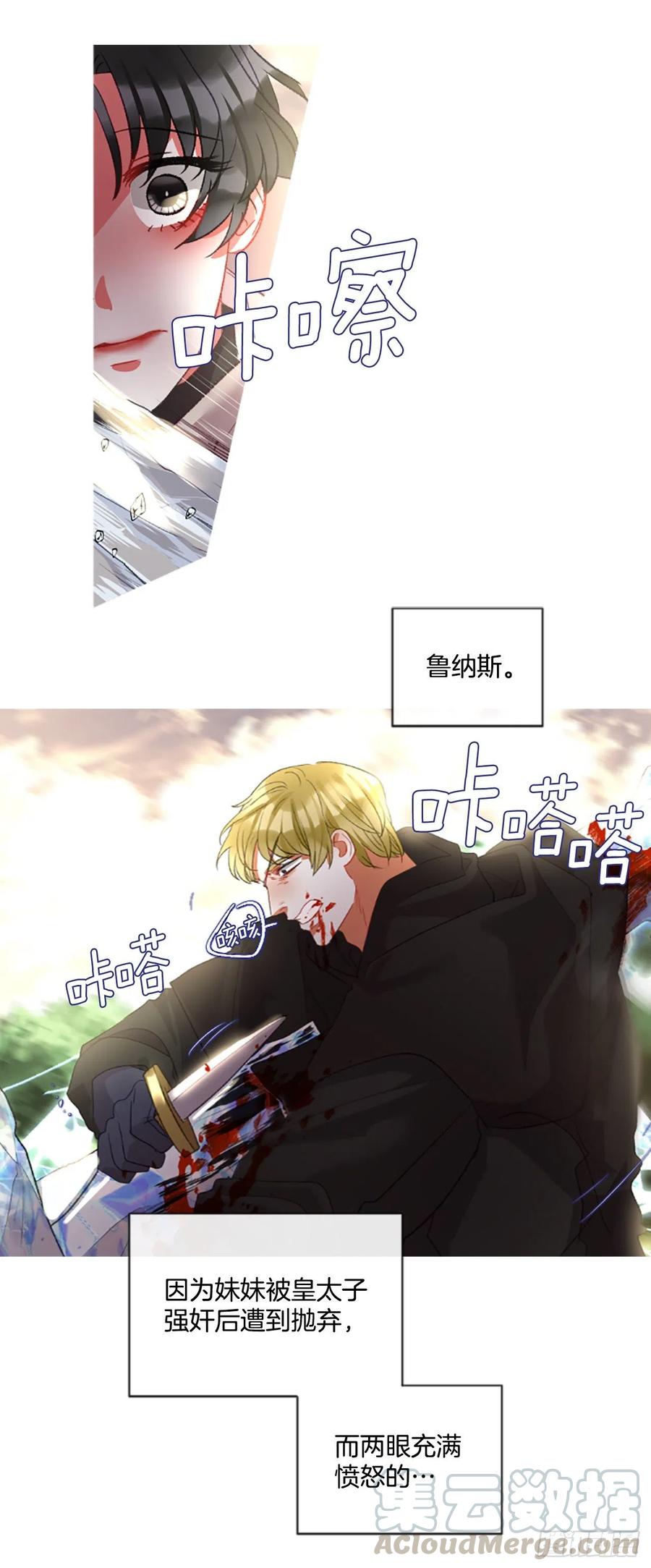 《佣兵女王伊芙琳》83.我们的故事 第13页