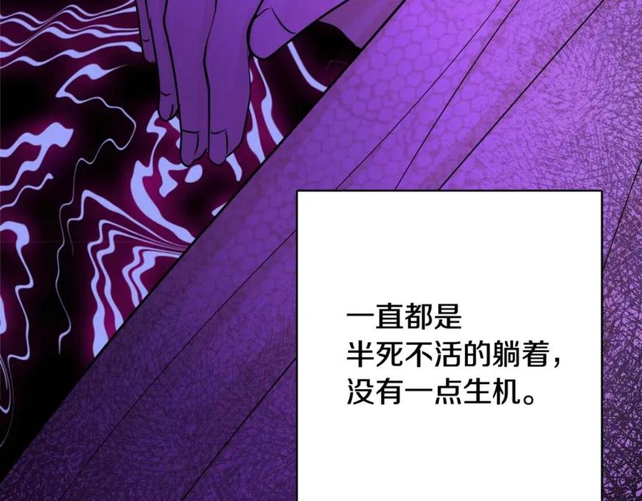 《人间清醒小姐妹》第70话 缪里安惨死 第31页