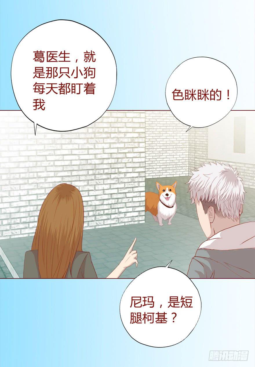 《生者为大》017灵宠（上） 第42页