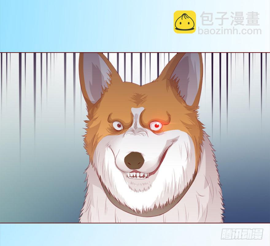 《生者为大》017灵宠（上） 第43页