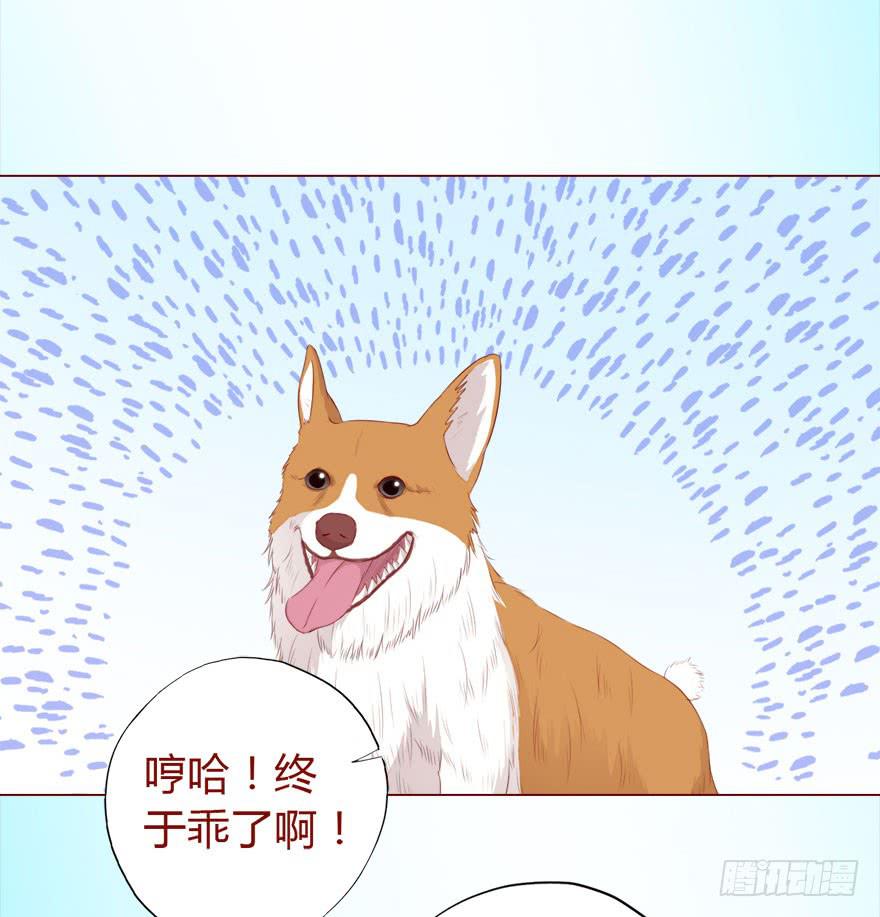 《生者为大》017灵宠（下） 第13页