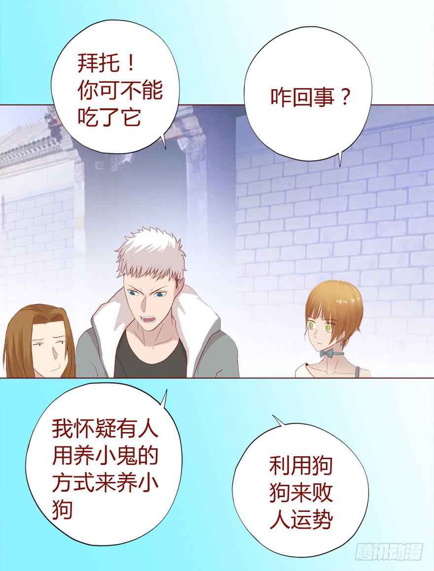 《生者为大》017灵宠（下） 第15页