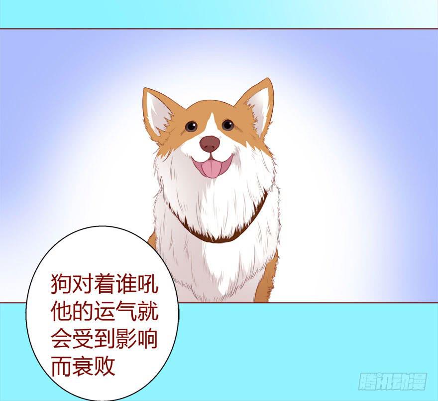 《生者为大》017灵宠（下） 第16页