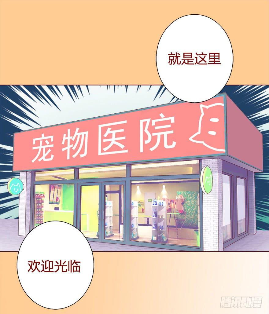 《生者为大》017灵宠（下） 第30页