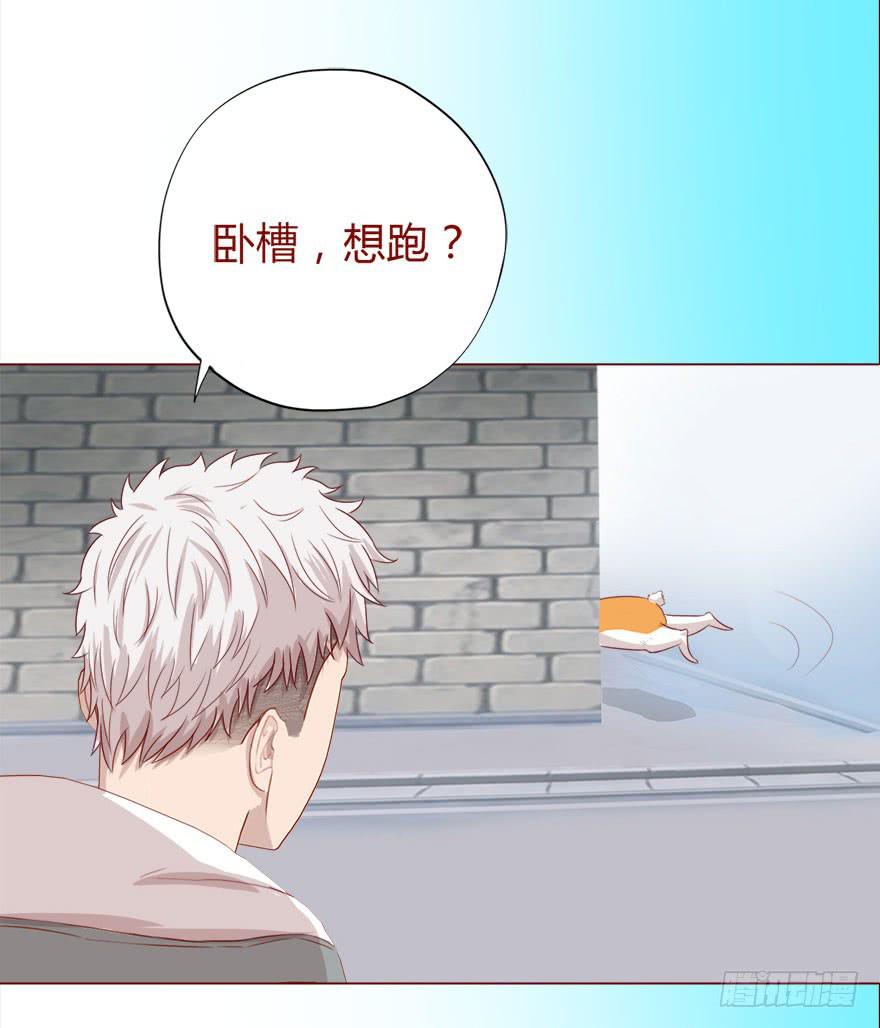 《生者为大》017灵宠（下） 第6页