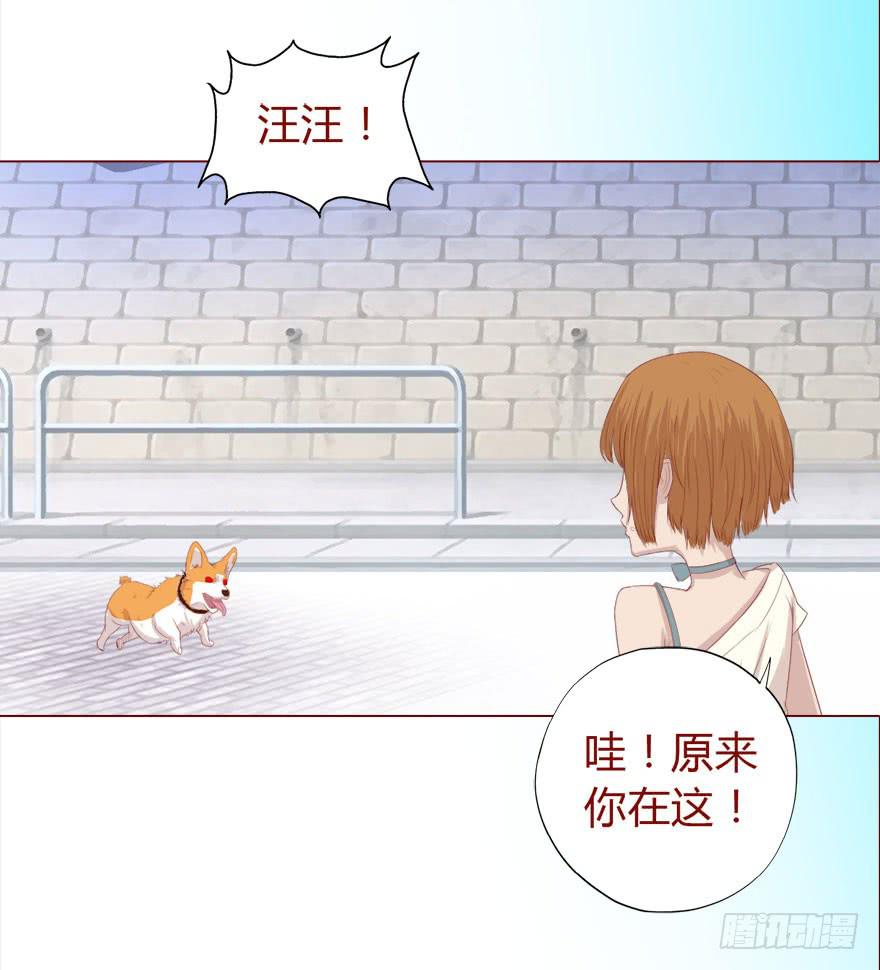《生者为大》017灵宠（下） 第8页