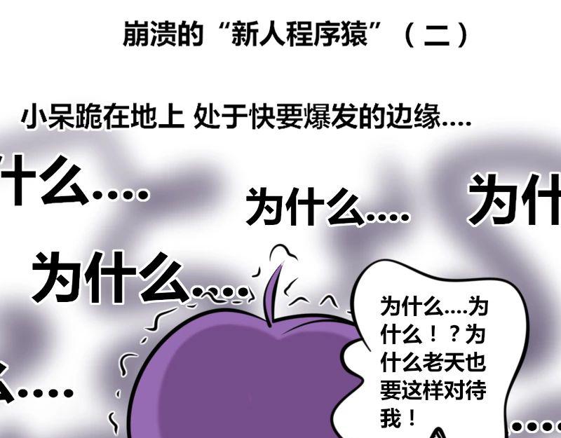 《本葱办公室》【25】崩溃的“新人程序猿” 第12页