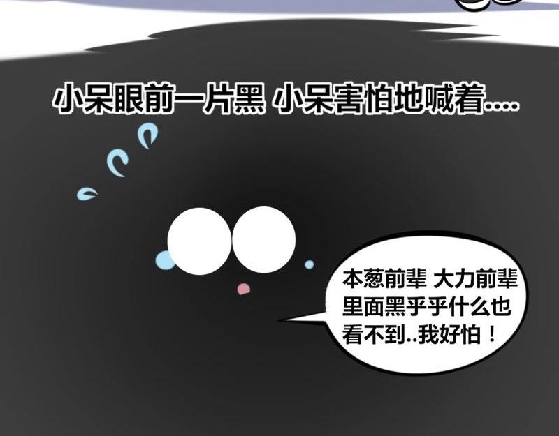 《本葱办公室》【31】程序猿的“小黑屋” 第14页
